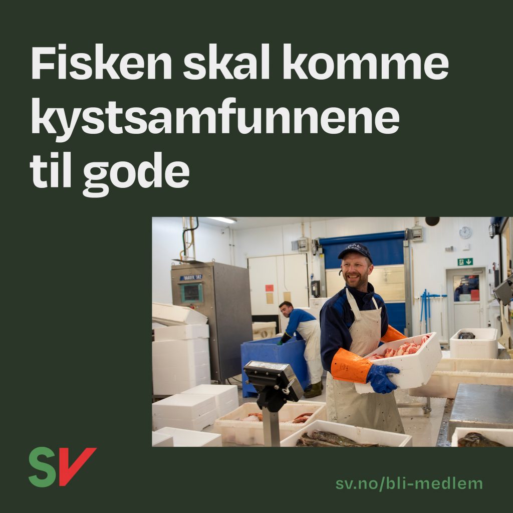 Vi treng grøn teknologi, industri og energi - arbeidere installerer solceller. tekst og foto