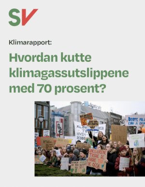 Klimarapport: Hvordan kutte klimagassutslippene med 70 prosent? - Unge klimastreikere utenfor Stortinget. Fotografi