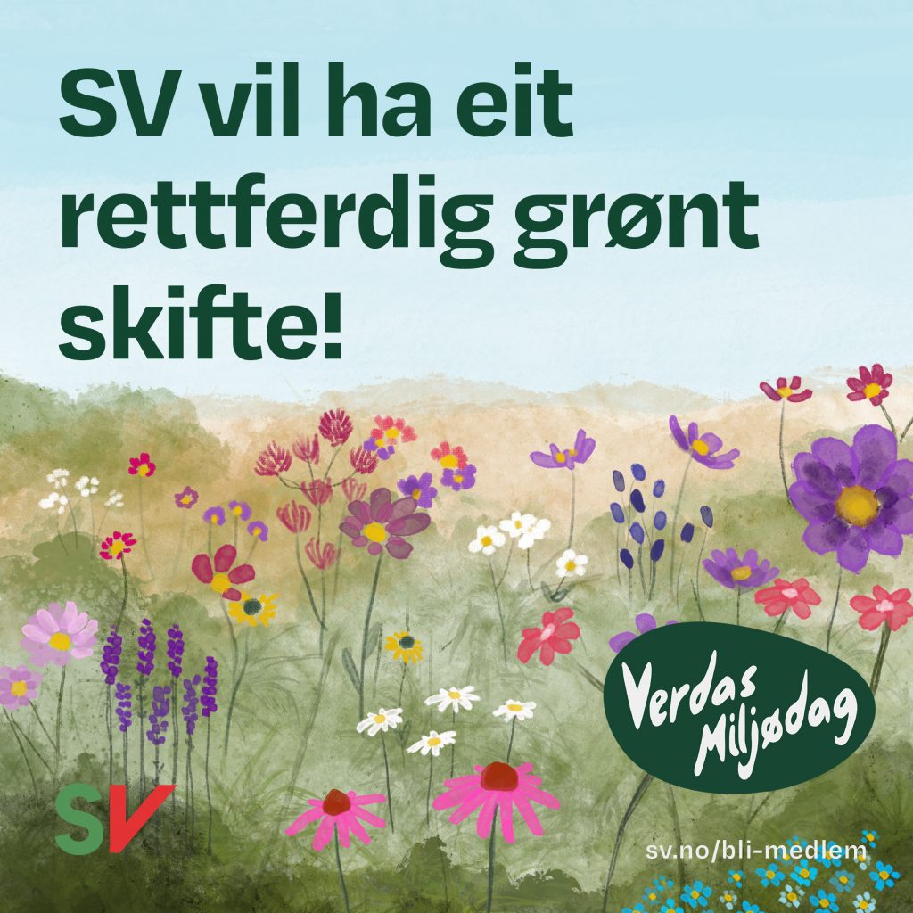 Gratulerer med verdens miljødag! - Blomstereng. tekst over illustrasjon