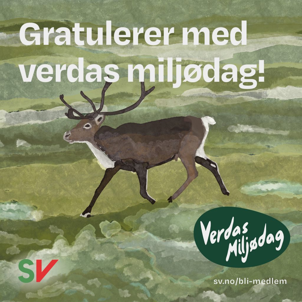 Gratulerer med verdas miljødag! - Reinsdyr. tekst over illustrasjon