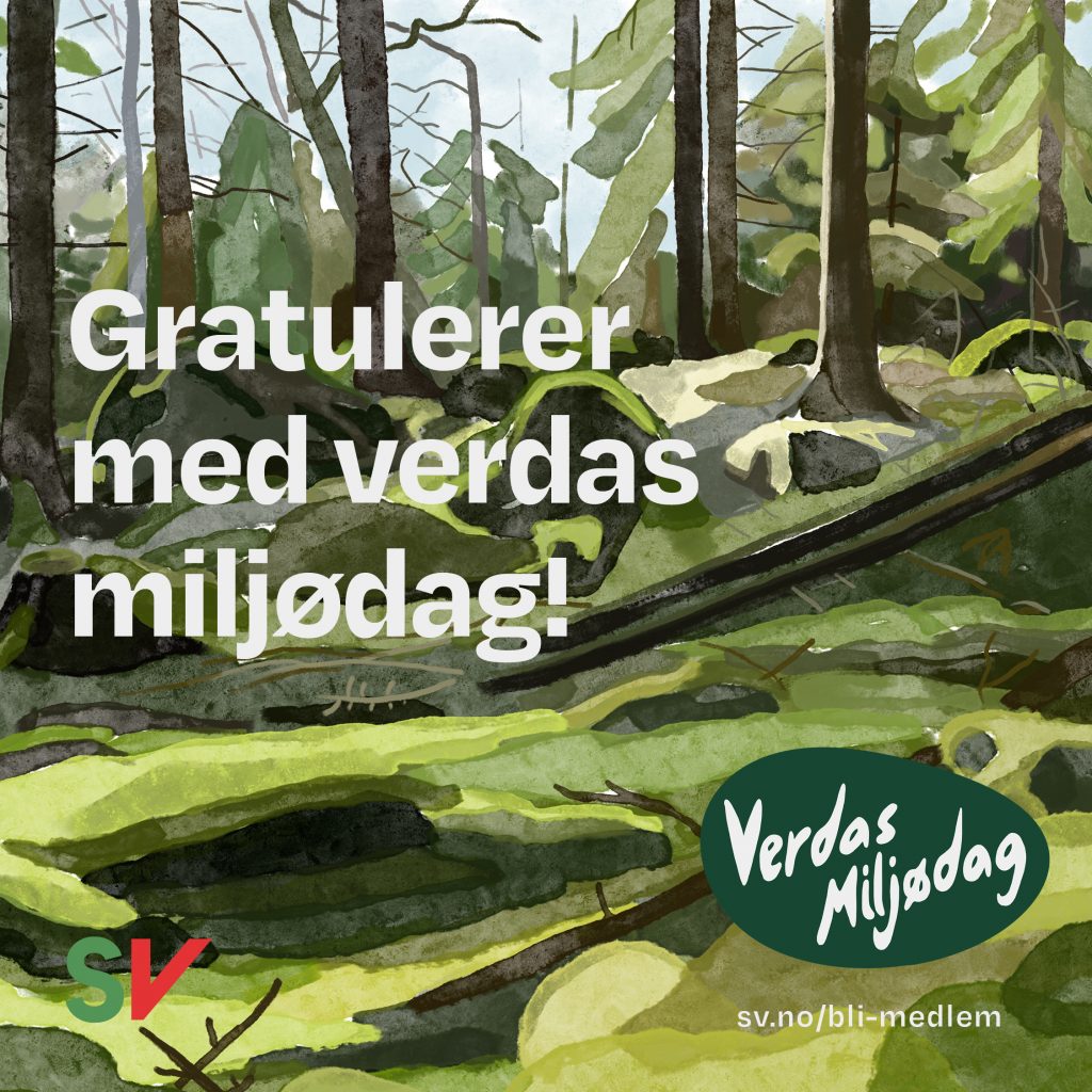 Gratulerer med verdas miljødag! - Skog. tekst over illustrasjon