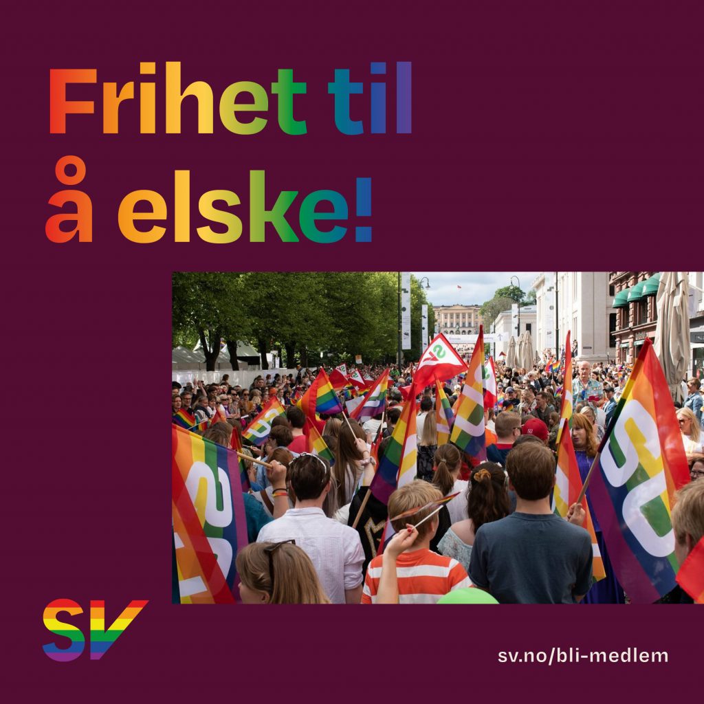 Frihet til å elske! - Folk i pridetog. tekst og foto