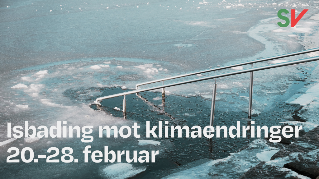 Isbading mot klimaendringer 20.-28. februar. Bilde av vann dekt av is med stige ut i vannet