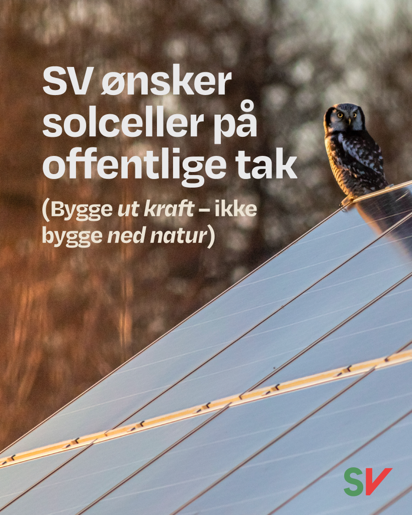SV ønsker solceller på offentlige tak (Bygge ut kraft - ikke bygge ned natur) - Hvit tekst på fotografi av tak med solceller, en ugle sitter på en gren i forkant, SV-logo