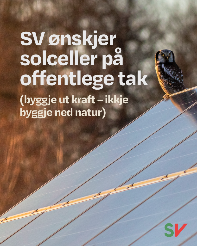 SV ønsker solceller på offentlege tak (Byggje ut kraft - ikkje bygge ned natur) - Hvit tekst på fotografi av tak med solceller, en ugle sitter på en gren i forkant, SV-logo