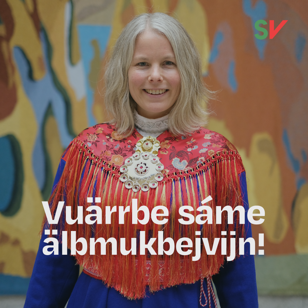 Vuärrbe sáme älbmukbejvijn! - Kirsti Bergstø i Nessebykofte. tekst over foto
