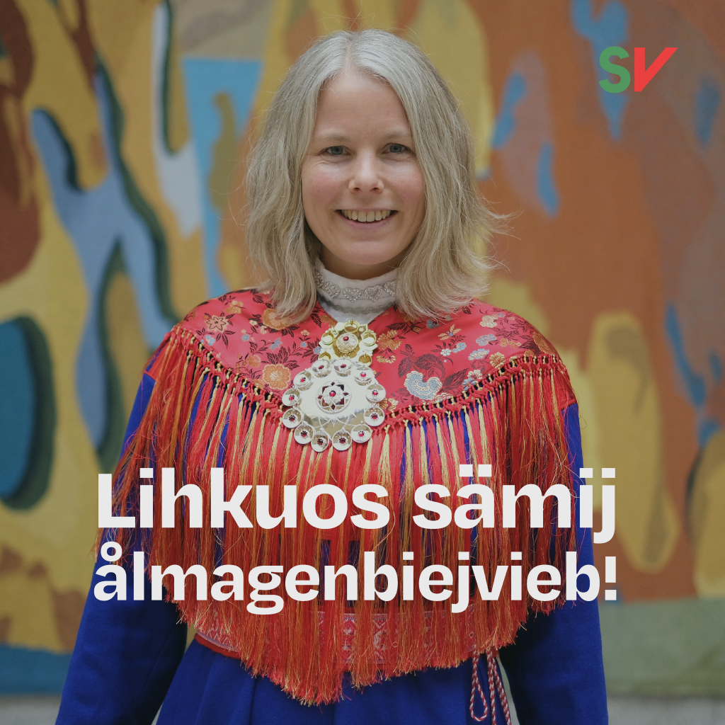 Lihkuos sämij ålmagenbiejvieb! - Kirsti Bergstø i Nessebykofte. tekst over foto