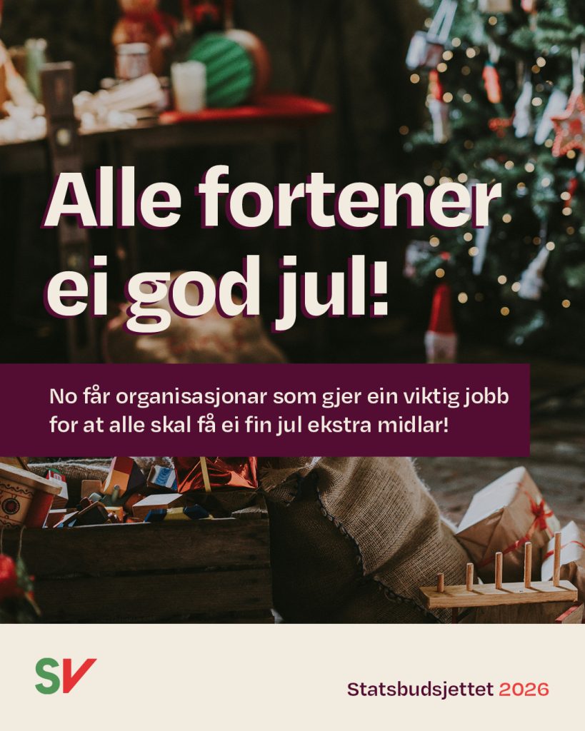 Juletre og pakker - Alle fortener ei god jul! No får organisasjonar som gjer ein viktig jobb for at alle skal få ei fin jul ekstra midlar!. Tekst over foto