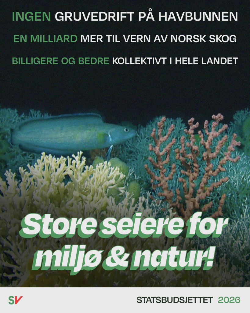 Koraller på havbunnen - Ingen gruvedrift på havbunnen, En milliard mer til vern av norsk skog, billigere og bedre kollektiv i hele landet - Store seiere for miljø og natur!. Tekst over foto
